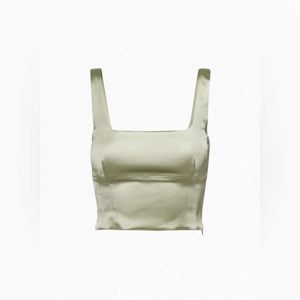 Aritzia Ten Shine Satin Bustier